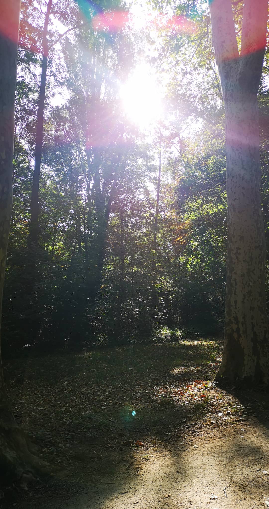 Photo n° 2 de l'avis de seam.e fait le 06/09/2019 à 09:31