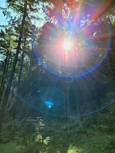 Place of Worship «The Grotto», reviews and photos, 8840 NE Skidmore St, Portland, OR 97220, USA