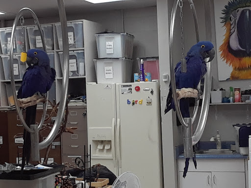 Bird Shop «Arizona Bird Store», reviews and photos, 565 S Dobson Rd, Mesa, AZ 85202, USA