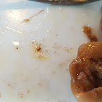 Photo n°2 de l'avis de Federico.e fait le 01/10/2018 à 19:24 sur le  Torre Ferano à Vico Equense