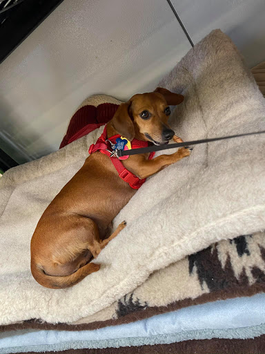 Pet Supply Store «Healthy Pet Products», reviews and photos, 9805 McKnight Rd, Pittsburgh, PA 15237, USA