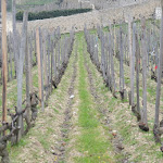 Photo n° 6 de l'avis de Baz'. fait le 06/03/2021 à 16:23 pour Caveau M. CHAPOUTIER à Tain-l'Hermitage