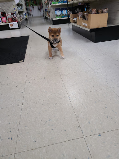 Pet Supply Store «Total Dog Company», reviews and photos, 9432 36th Ave N, New Hope, MN 55427, USA