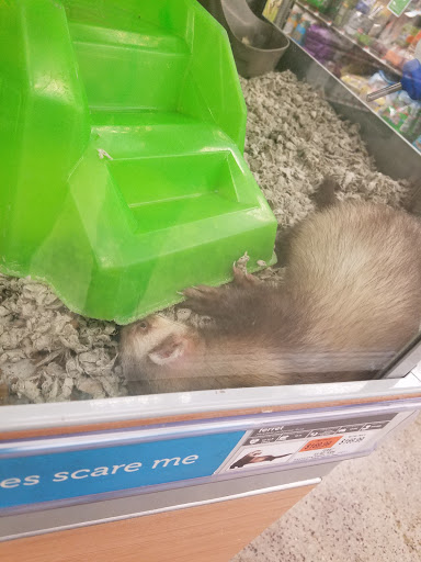 Pet Supply Store «Petco Animal Supplies», reviews and photos, 339 Squire Rd #108, Revere, MA 02151, USA