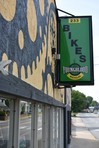 Youngblood Bicycles, 233 Merrimon Ave, Asheville, NC 28801, USA, 