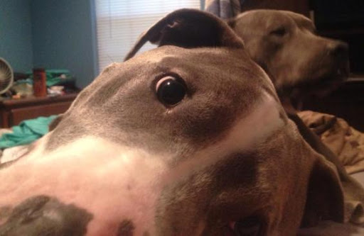 Ford Dealer «Mahwah Ford Sales & Service», reviews and photos, 55 Franklin Turnpike, Mahwah, NJ 07430, USA