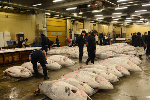 Fish Information Center (Entrance for Tuna Auction)