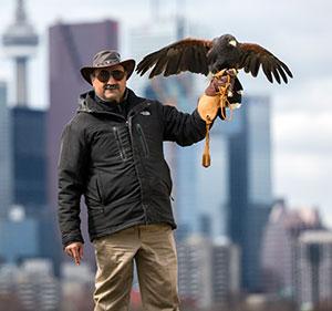 Hawkeye Bird and Animal Control & Falconry Experience Mississauga