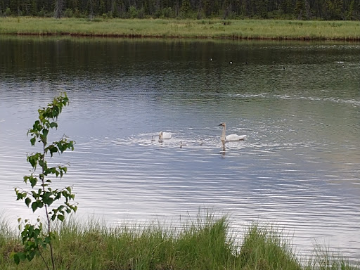 National Park «Wrangell-St. Elias National Park & Preserve», reviews and photos