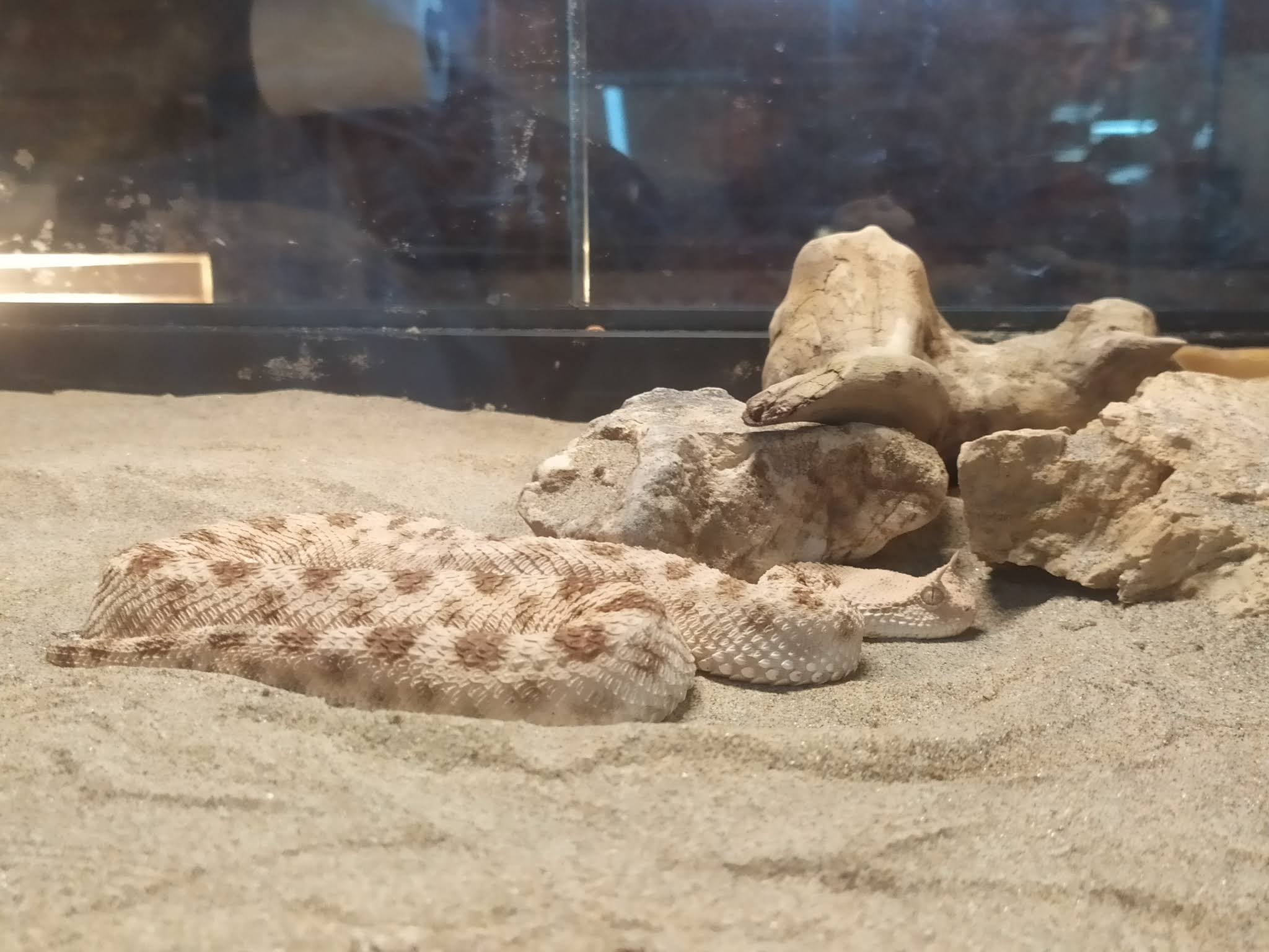 Photo n° 3 de l'avis de Ronde.t fait le 30/12/2019 à 17:38