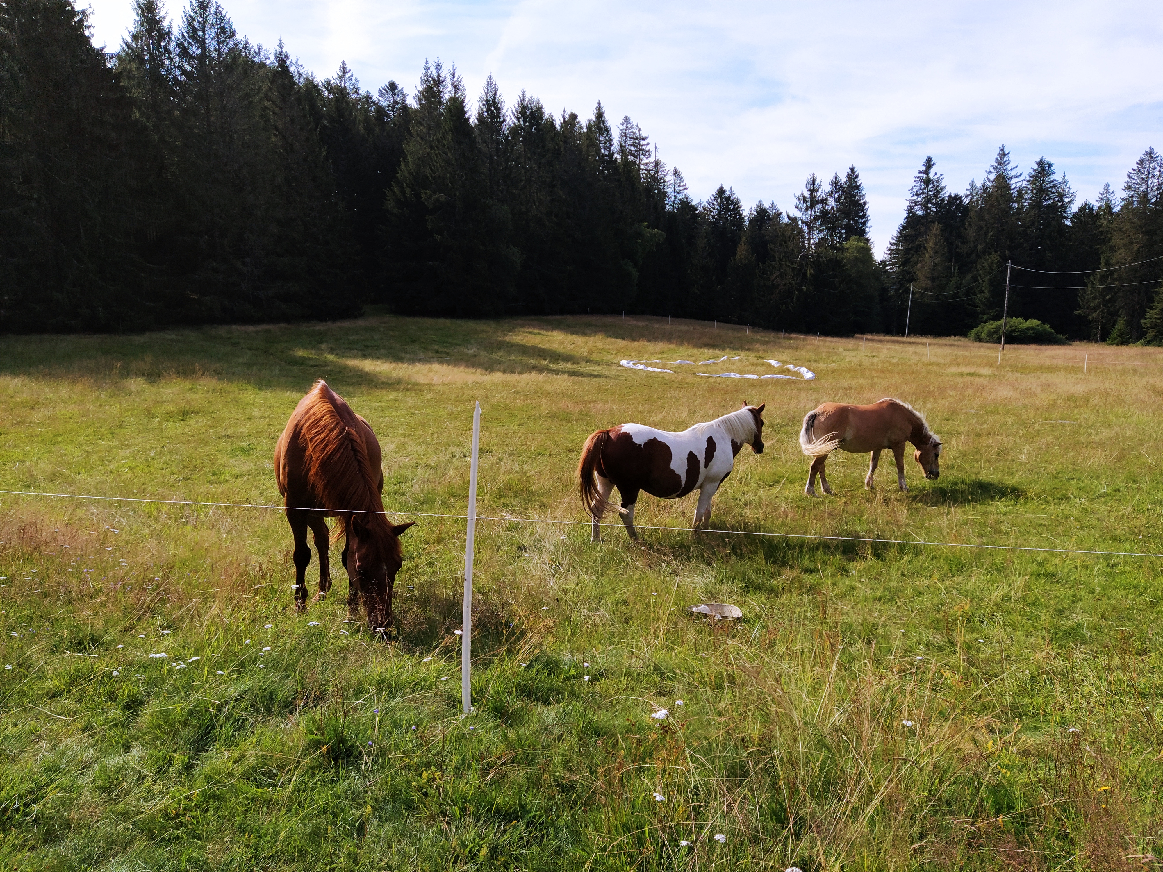 Photo n° 1 de l'avis de Brigitte.u fait le 14/07/2020 à 13:06
