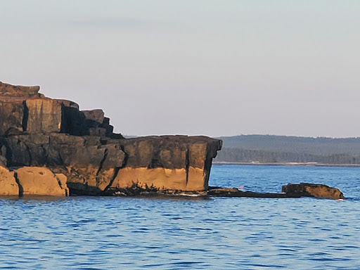 Tourist Attraction «Acadian Boat Tours», reviews and photos, 119 Eden St, Bar Harbor, ME 04609, USA