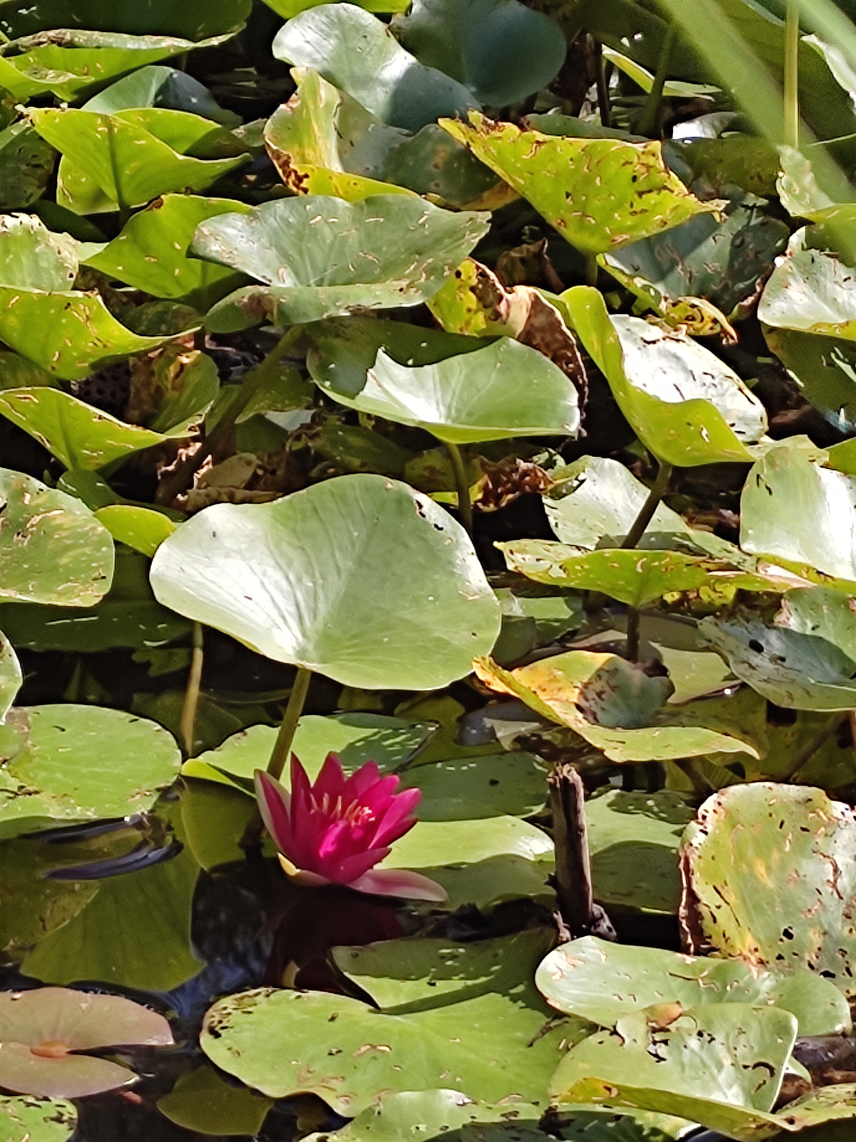 Photo n° 21 de l'avis de Nini.o fait le 22/09/2022 à 13:53