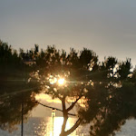 Photo n°2 de l'avis de Franzisca.c fait le 12/07/2018 à 04:29 sur le  Senzanomebar à Pacengo