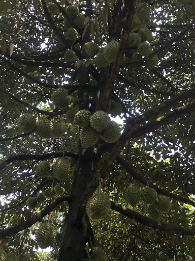 Top 14 cửa hàng brownies Huyện Krông Buk Đắk Lắk 2022