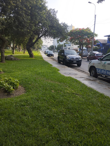 Módulo de Seguridad Ciudadana - Serenazgo