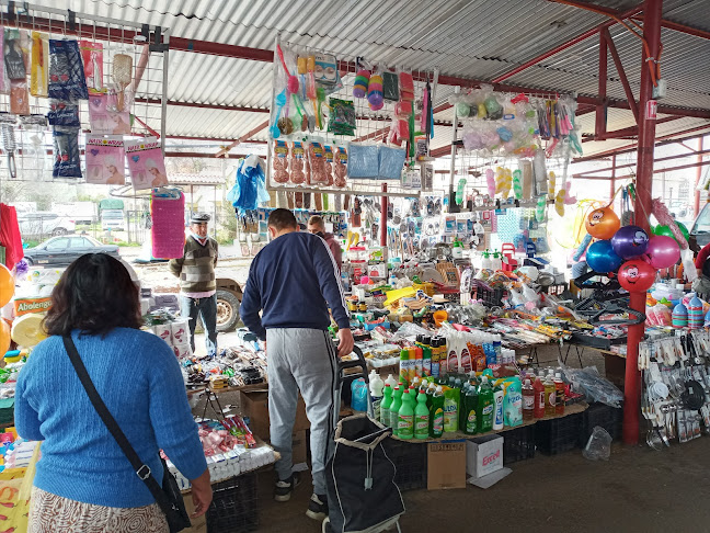 Opiniones de Feria Libre Juan Pinto Durán en Macul - Frutería