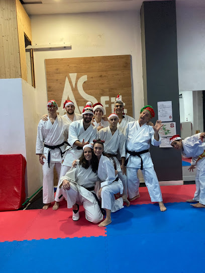 Karate Ikigai - C. Ordesa, 4, 10005 Cáceres, Spain
