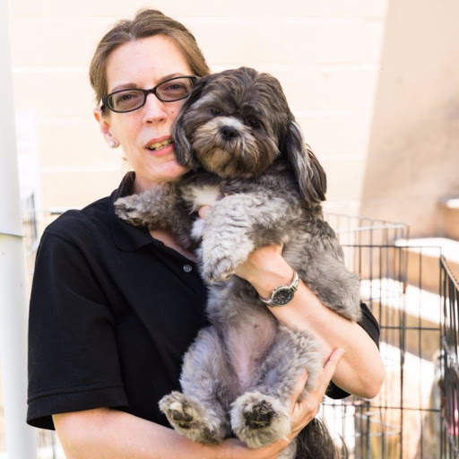 Pet Groomer «The Pet Set - Buckhead», reviews and photos, 2480 Briarcliff Rd NE #3, Atlanta, GA 30329, USA