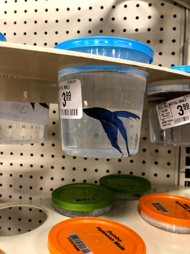 Pet Supply Store «PetSmart», reviews and photos, 4824 211th St, Matteson, IL 60443, USA
