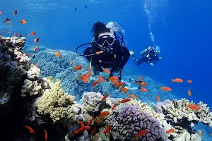 Mersin Diving Center image