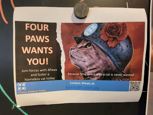 Coffee Shop «Starbucks», reviews and photos, 10344 Main Street, Fairfax, VA 22030, USA