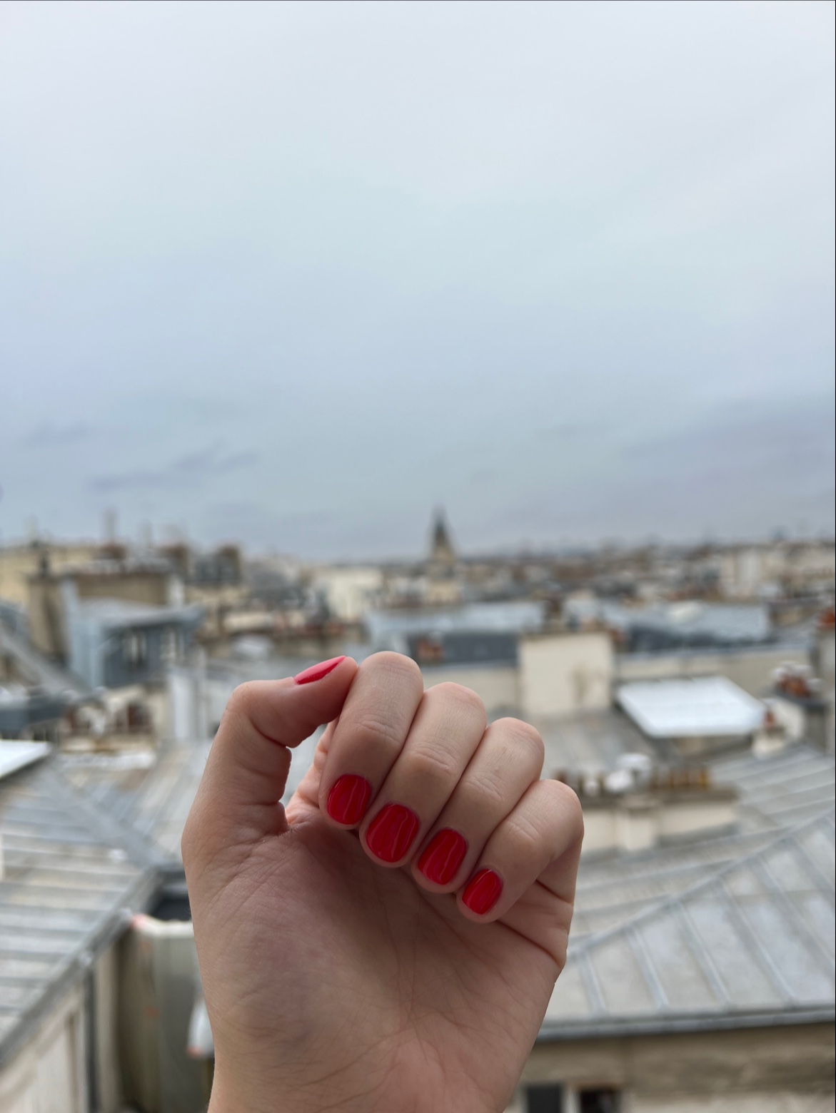 Photo n° 1 de l'avis de Magda.a fait le 26/11/2021 à 16:14