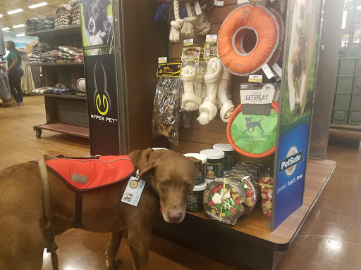 Sporting Goods Store «Bass Pro Shops», reviews and photos, 4059 Lagniappe Way, Tallahassee, FL 32317, USA