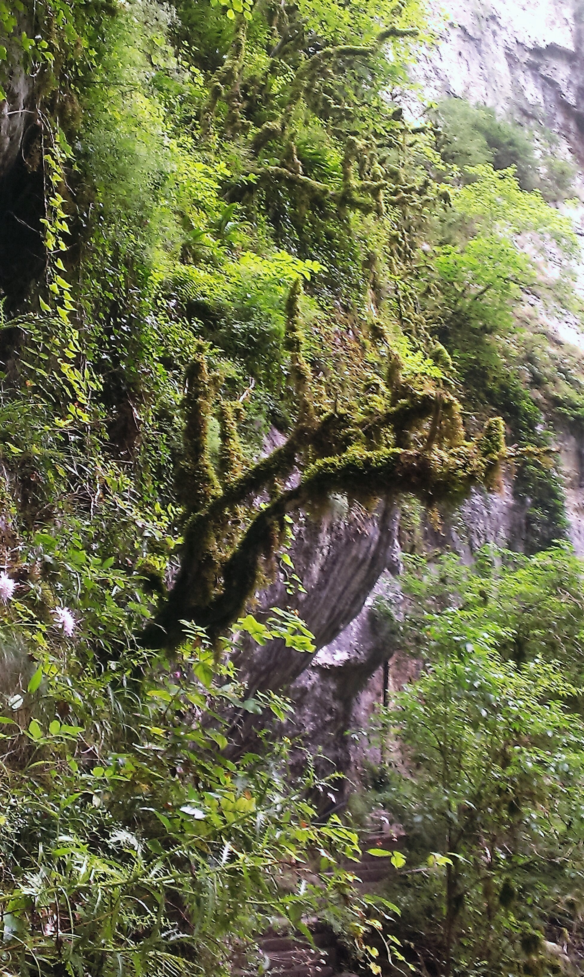 Photo n° 23 de l'avis de Angélique. fait le 03/12/2016 à 13:46