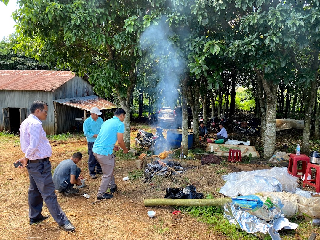 HOA LINH COFFEE FARM