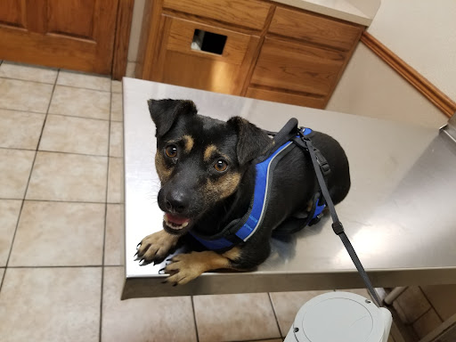 1725 N Major Dr, Beaumont, TX 77713, USA