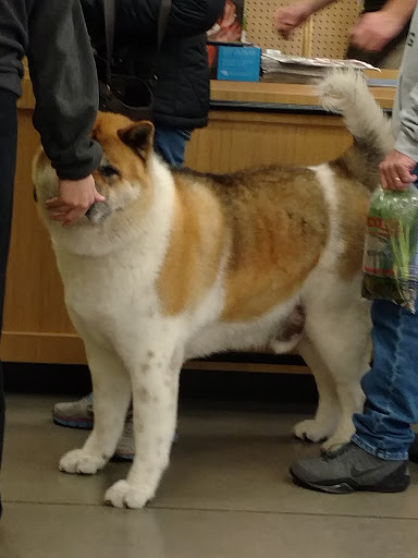 Pet Supply Store «Petco Animal Supplies», reviews and photos, 205 SE 5th St, Ames, IA 50010, USA