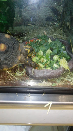 Pet Supply Store «Petco Animal Supplies», reviews and photos, 280 Kensington Blvd, Slidell, LA 70458, USA