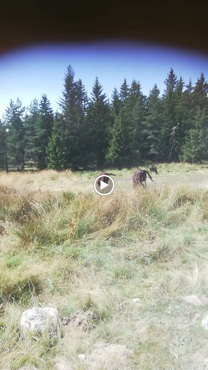 Photo n° 3 de l'avis de Jean-luc.E fait le 27/08/2023 à 20:07