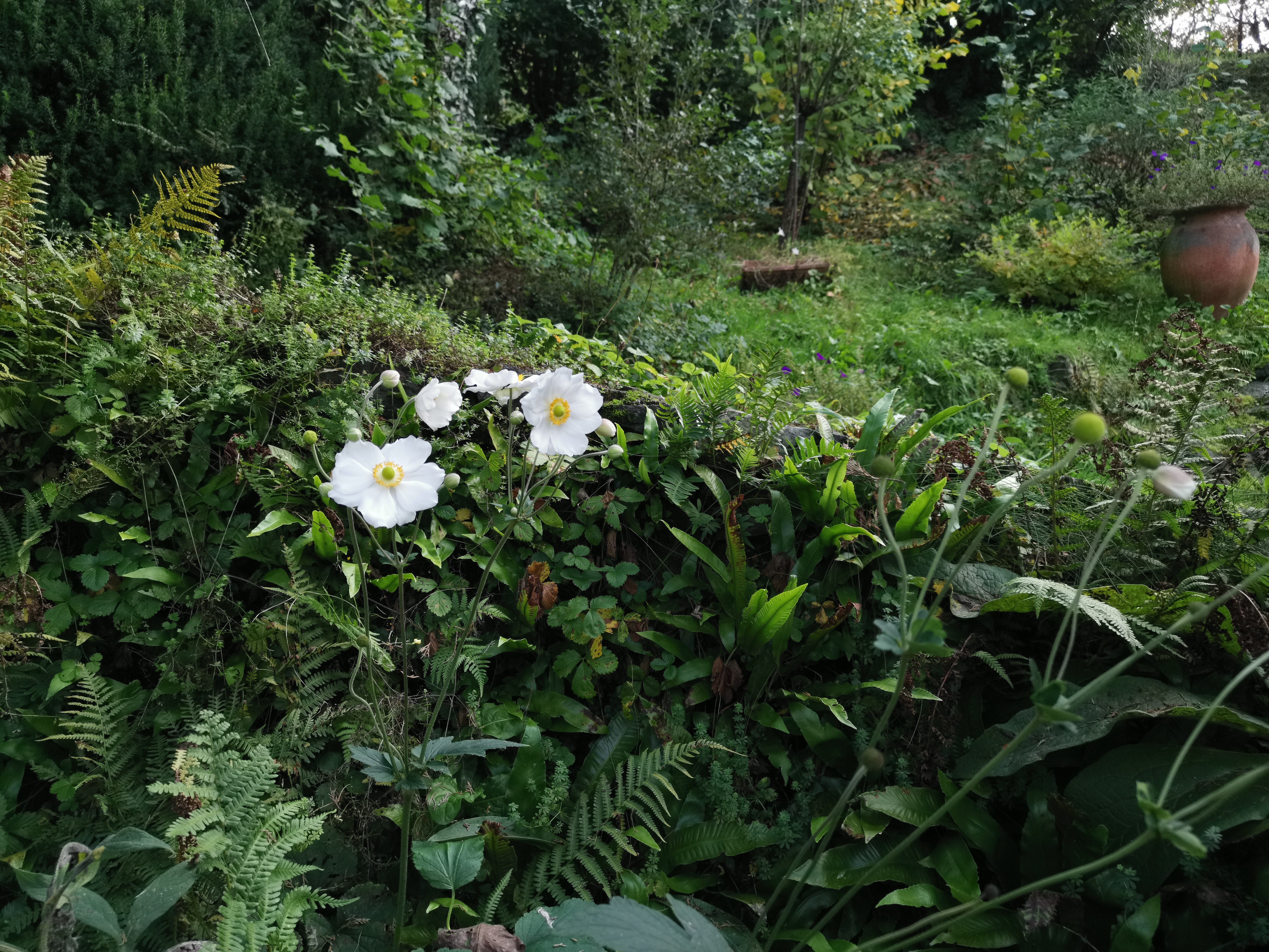 Photo n° 2 de l'avis de Jean-Pierre.a fait le 27/10/2022 à 07:05