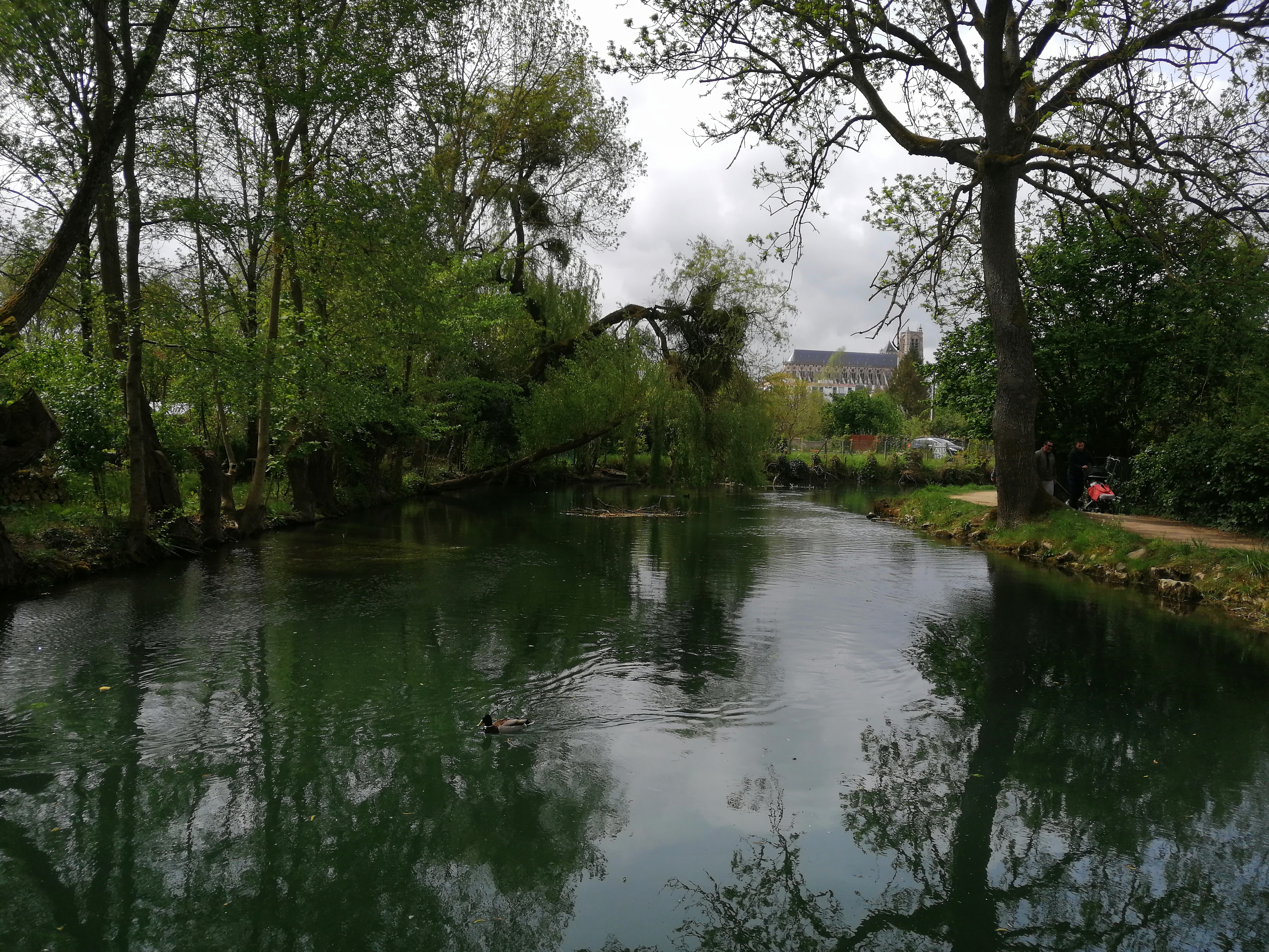 Photo n° 1 de l'avis de Clément. fait le 02/05/2019 à 05:12