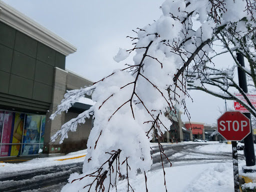 Party Store «Party City», reviews and photos