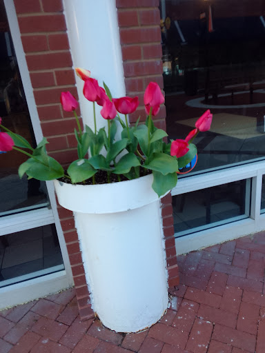 Shopping Mall «Plainview Shopping Center», reviews and photos, 381 S Oyster Bay Rd, Plainview, NY 11803, USA