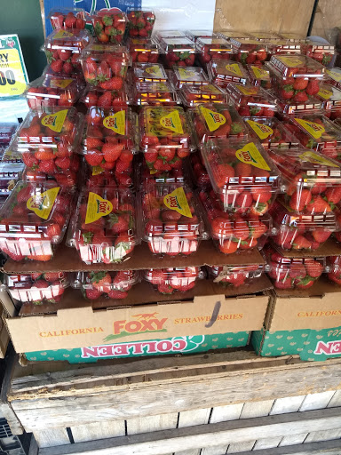 Supermarket «Fruit Tree Farm», reviews and photos, 1500 Sunrise Hwy, Copiague, NY 11726, USA