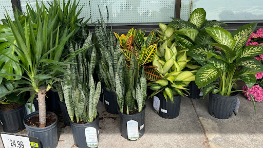 Supermarket «Stop & Shop», reviews and photos, 1235 Farmington Ave, West Hartford, CT 06107, USA