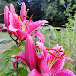 Photo n°1 de l'avis de Rico.i fait le 31/07/2023 à 15:36 sur le  Haus Wartburg à Graal-Müritz