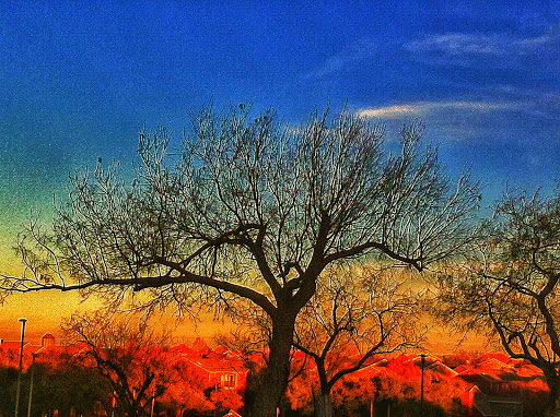 Park «Cottonwood Park», reviews and photos, 4051 N Story Rd, Irving, TX 75038, USA