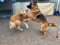 Bark & Biscuit - Photo 6 - Car repair in South Salt Lake, UT, Salt Lake City