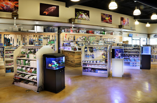 Pet Supply Store «Fish Gallery», reviews and photos, 26002 I-45, Spring, TX 77396, USA