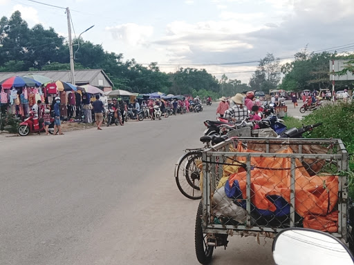 Top 12 cửa hàng tép cảnh Huyện Phú Vang Thừa Thiên Huế 2022