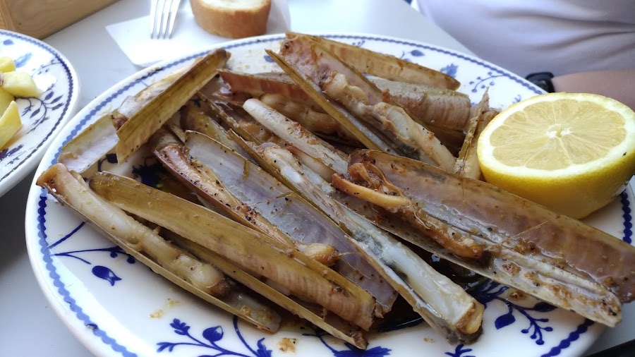 EL RINCON VERDE