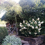 Photo n°2 de l'avis de Horst.e fait le 26/08/2023 à 21:56 sur le  Hunsrücker Hexenhaus à Beltheim