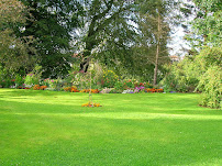 Shamrock Pest And Lawn Services - Lawn Care and Maintenance, Snow Removal - Photo 5 - Car repair in , Ogden