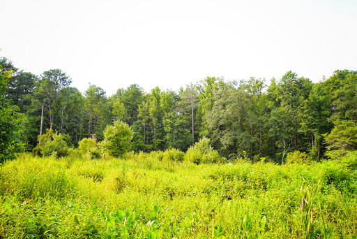 Nature Preserve «Melvin L. Newman Wetlands Center», reviews and photos, 2755 Freeman Rd, Hampton, GA 30228, USA
