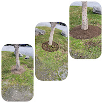 Independent Lawn Care - Photo 4 - Car repair in , Frederick